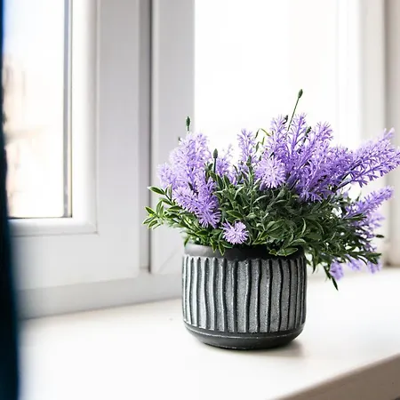 S46 Jeden * Λοτζ